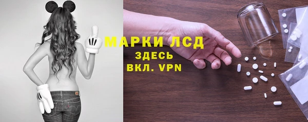 PSILOCYBIN Сафоново
