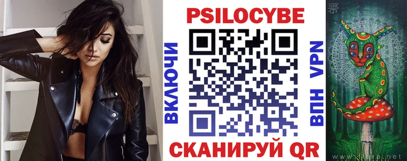 где найти наркотики  Бологое  Псилоцибиновые грибы Psilocybe 